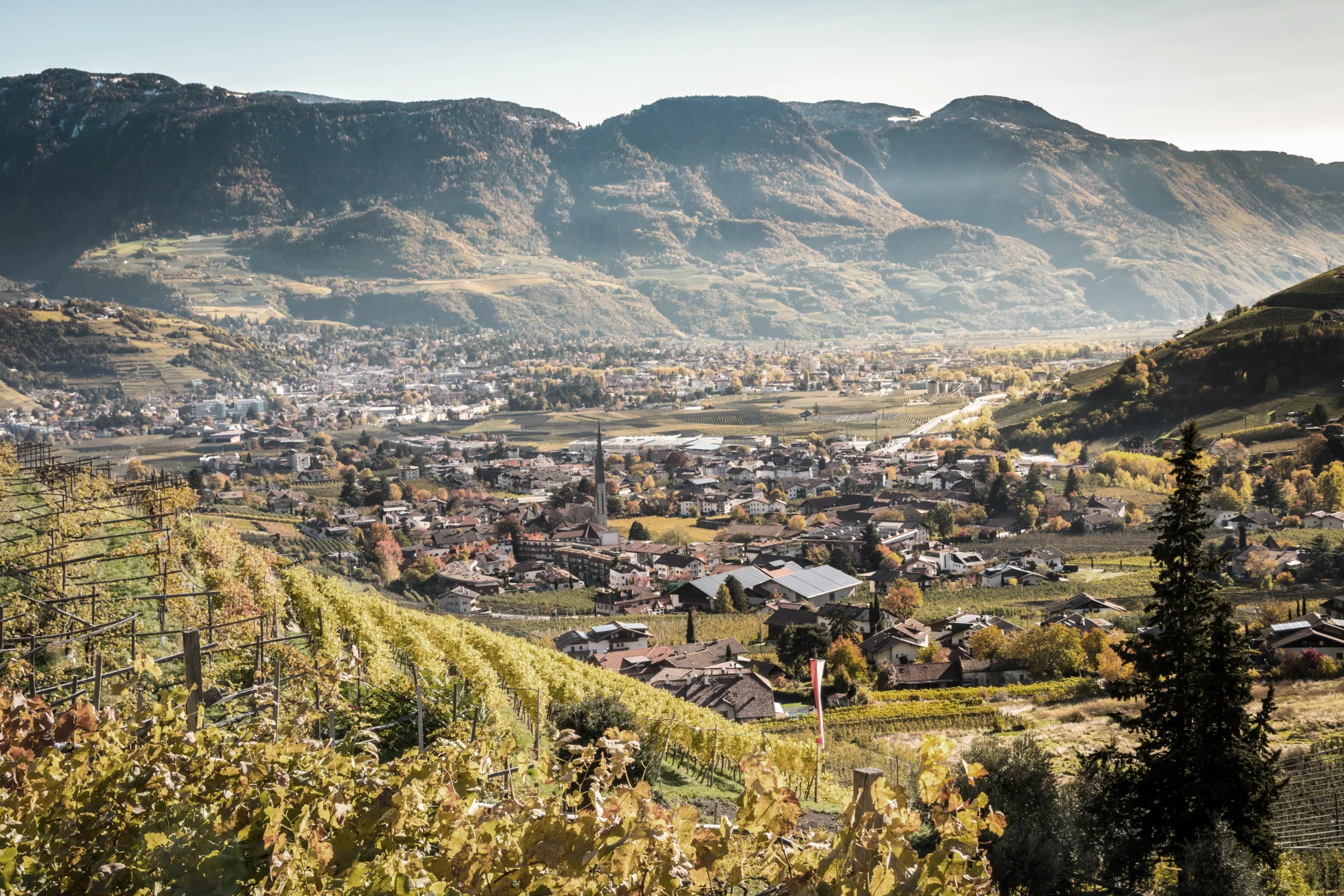 shutterstock_2072927627 copy