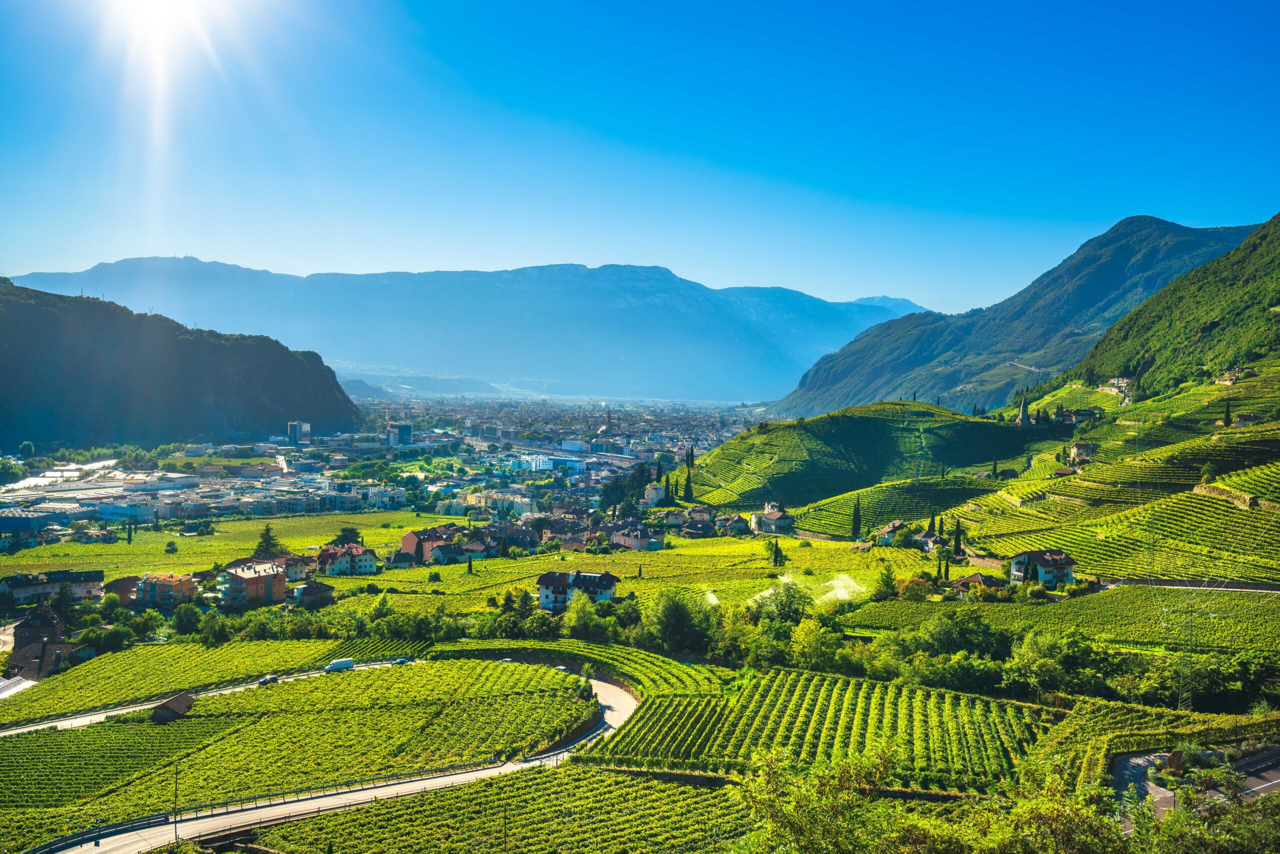 Vineyards,View,In,Santa,Maddalena,Rencio,Bolzano